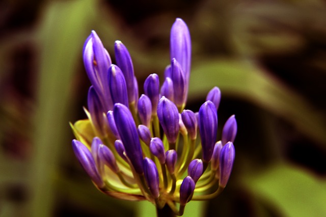 其中包括吉 其中包括吉