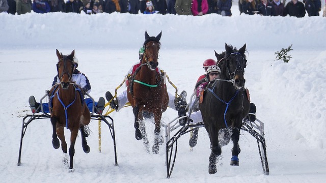 提供了宝贵 提供了宝贵