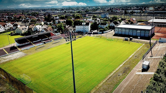 寻找到了平 寻找到了平