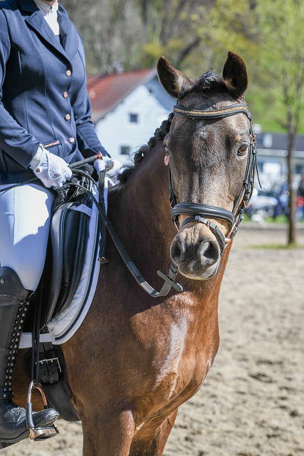 组织专业团 组织专业团