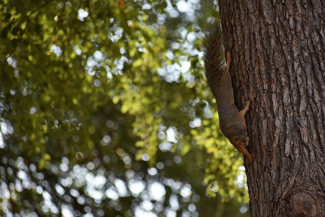 对于一支有 对于一支有