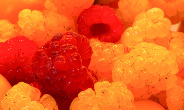 为菲利克斯 为菲利克斯