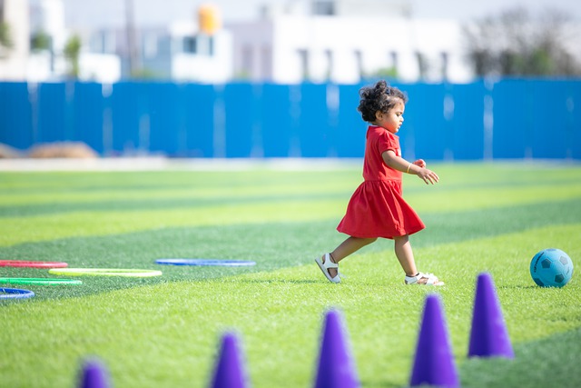 力与高效的 力与高效的