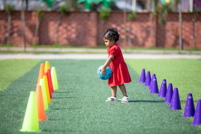了坚实基础 了坚实基础