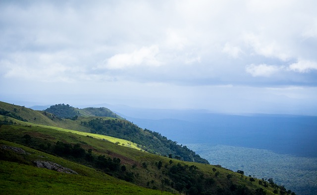他与队内原 他与队内原